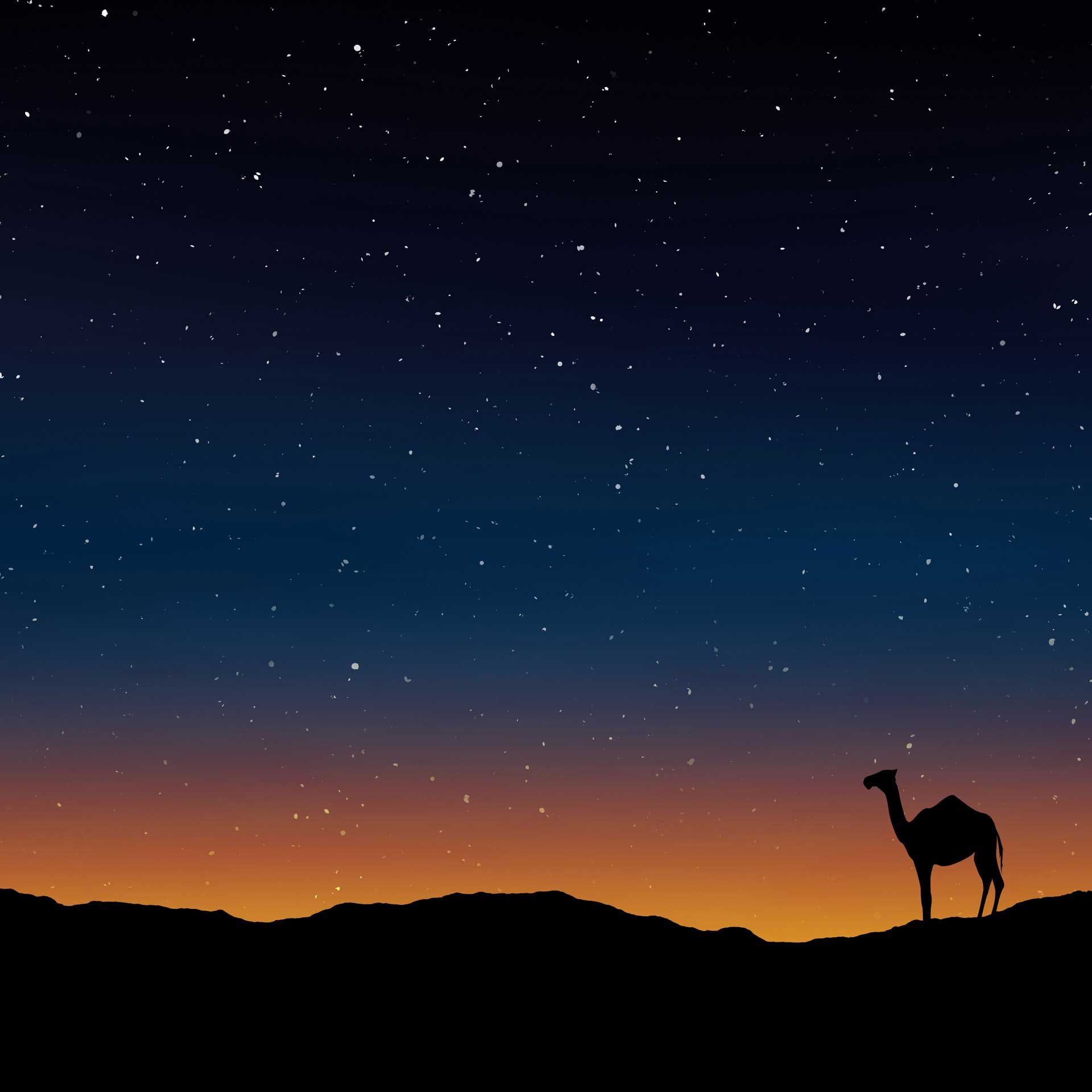 Unlocking The Haggadah: More Than Just Passover - wnxd930